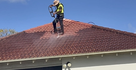 Roof Cleaning