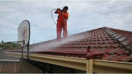 Pressure Roof Cleaning
