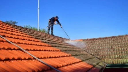 Roof Cleaning