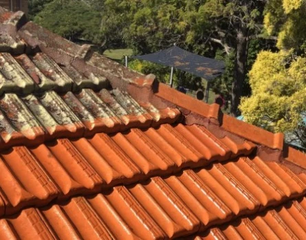 Roof Cleaning