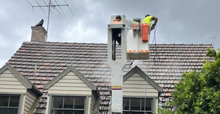 Roof Cleaning