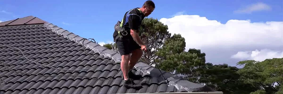 Roof Painting