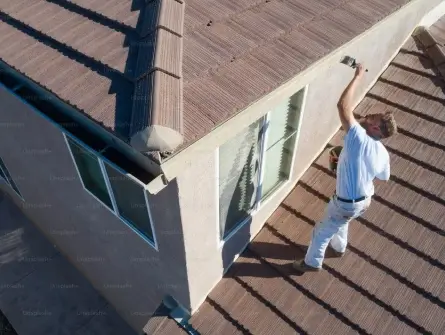 Roof Painting