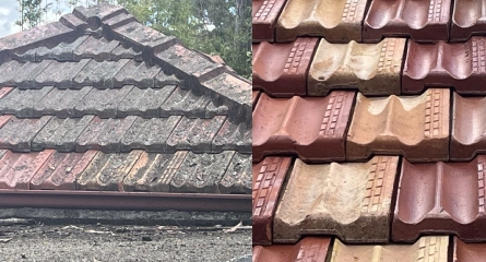 Roof Cleaning