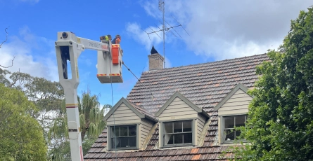 Roof Cleaning