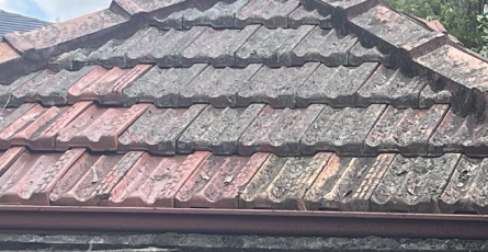 Pressure Roof Cleaning