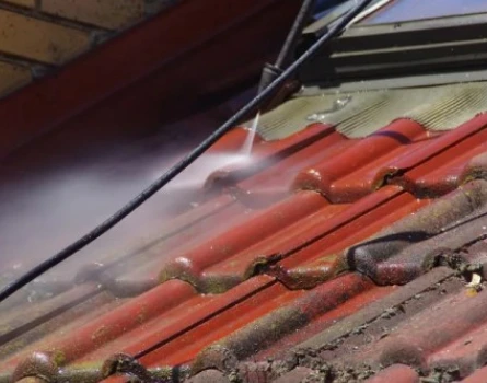 Roof Cleaning 