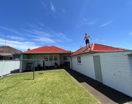 Roof Cleaning