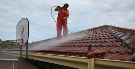 Roof Cleaning