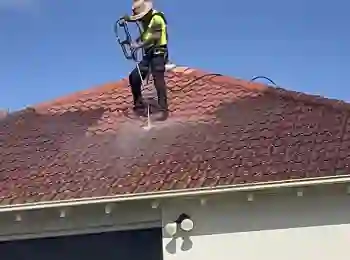 Sydney Roof Painting