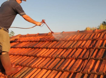 Sydney Roof Painting