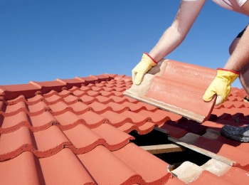 Sydney Roof Painting