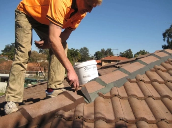 Sydney Roof Painting