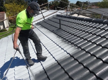 Sydney Roof Painting